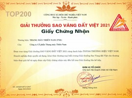 Giải thưởng Sao Vàng Đất Việt 2021